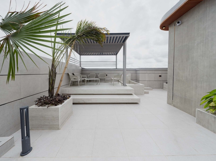 Modern rooftop patio with white outdoor seating beneath a slatted metal pergola and a large palm tree in the foreground.