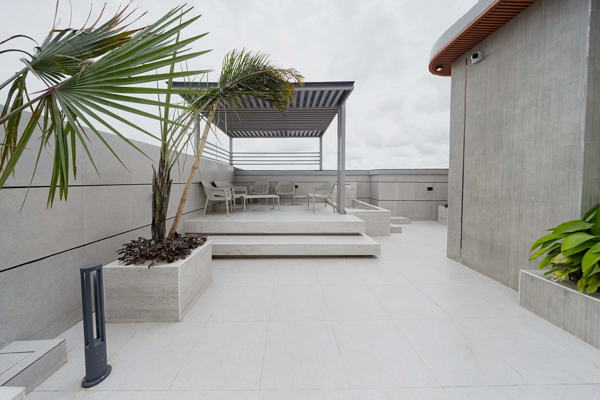 Modern rooftop patio with white outdoor seating beneath a slatted metal pergola and a large palm tree in the foreground.