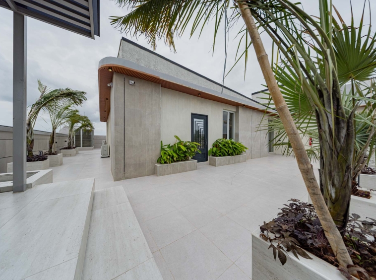 Modern building exterior with light gray walls, a curved wooden overhang, and palm trees along a tiled walkway.
