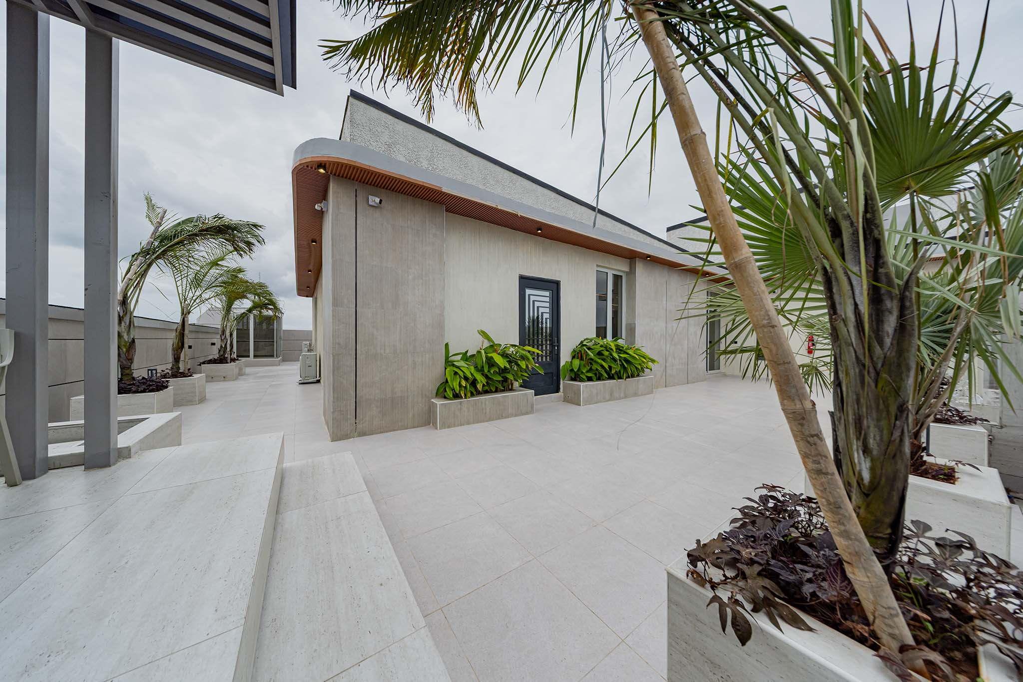 Modern building exterior with light gray walls, a curved wooden overhang, and palm trees along a tiled walkway.