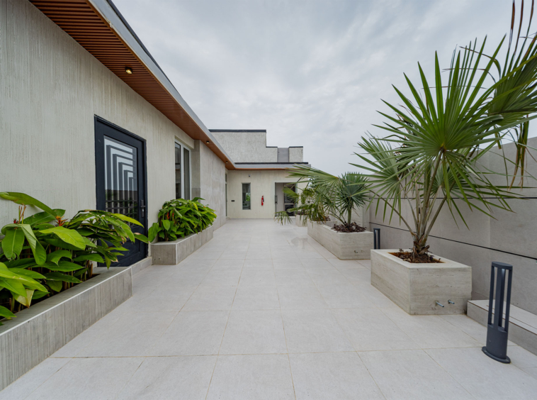 Modern courtyard with light gray tiled walkway, beige walls, and large palm plants in rectangular planters.