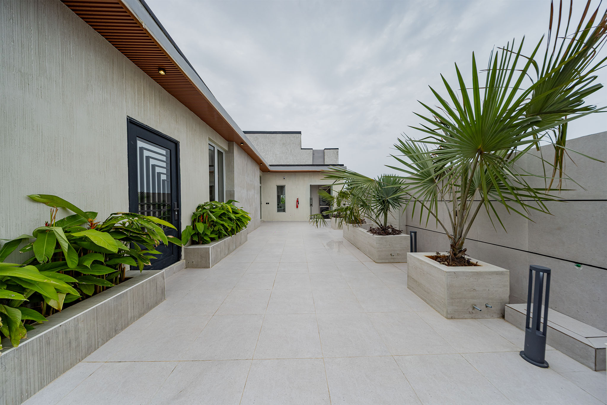Modern courtyard with light gray tiled walkway, beige walls, and large palm plants in rectangular planters.